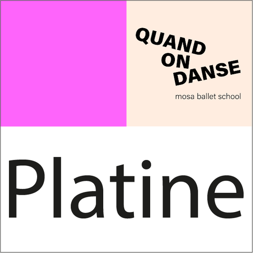 **** Platine ****